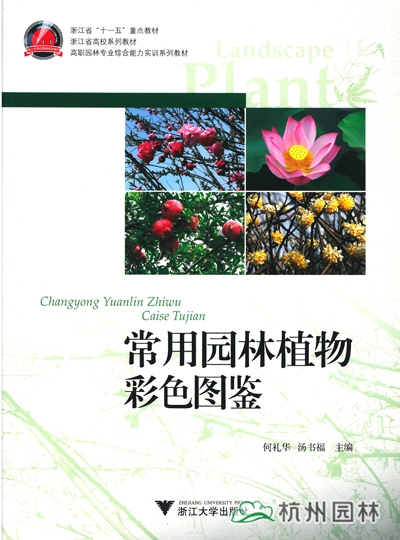 电竞比赛押注app