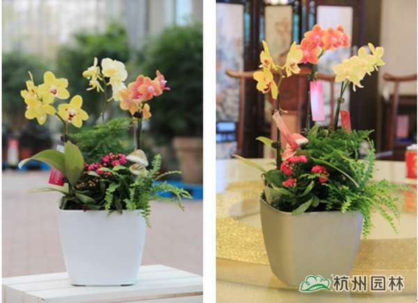 电竞比赛押注app