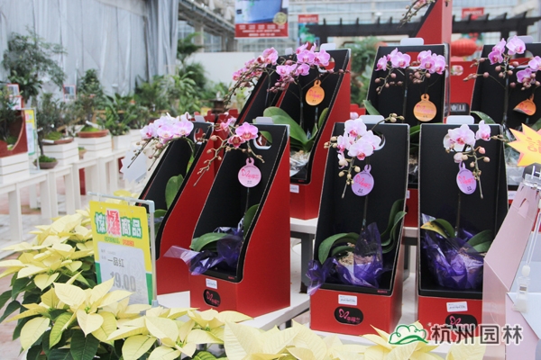 电竞比赛押注app