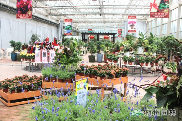 电竞比赛押注app