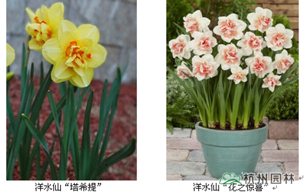 电竞比赛押注app