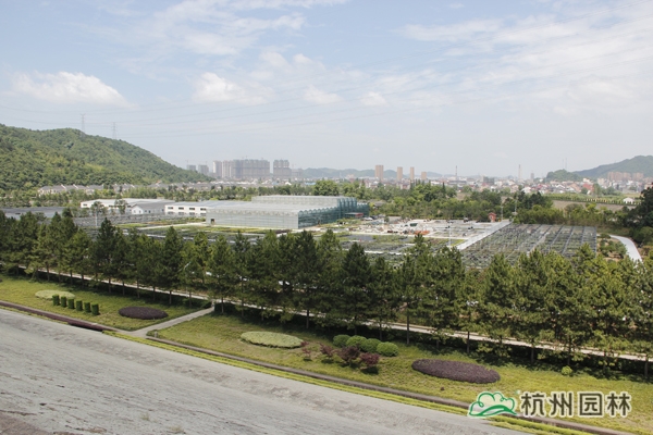 电竞比赛押注app