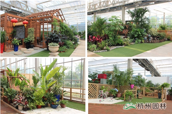 电竞比赛押注app