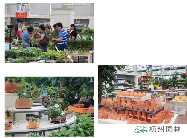 电竞比赛押注app