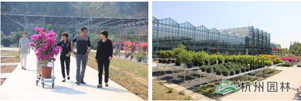 电竞比赛押注app