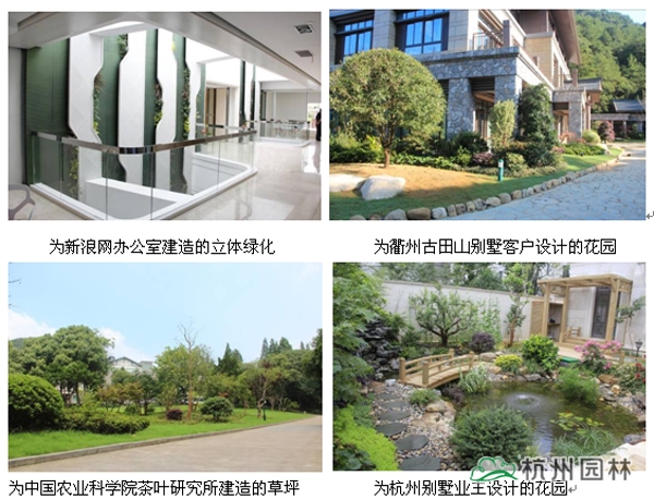 电竞比赛押注app