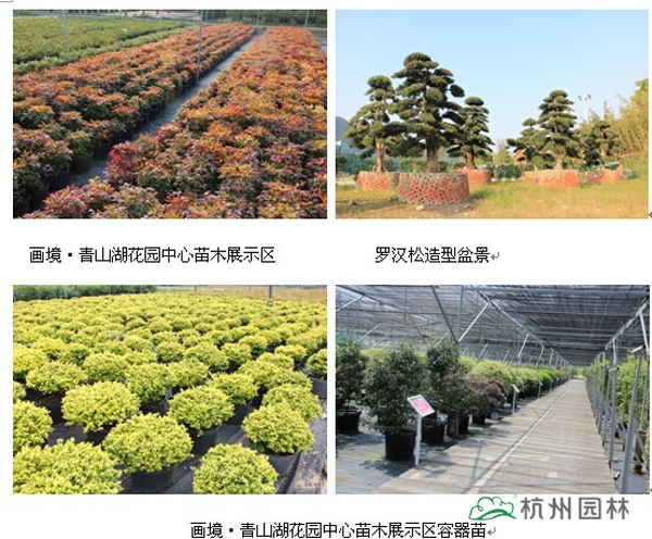 电竞比赛押注app