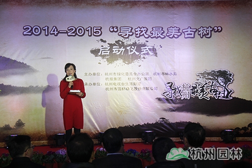 电竞比赛押注app