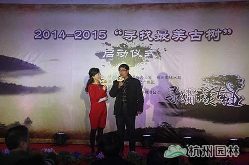 电竞比赛押注app