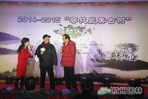 电竞比赛押注app