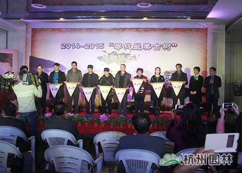 电竞比赛押注app