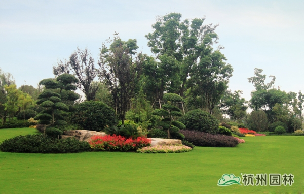 电竞比赛押注app