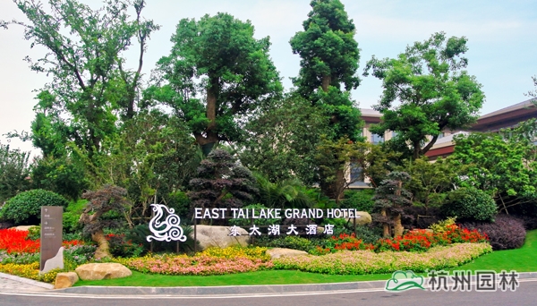 电竞比赛押注app