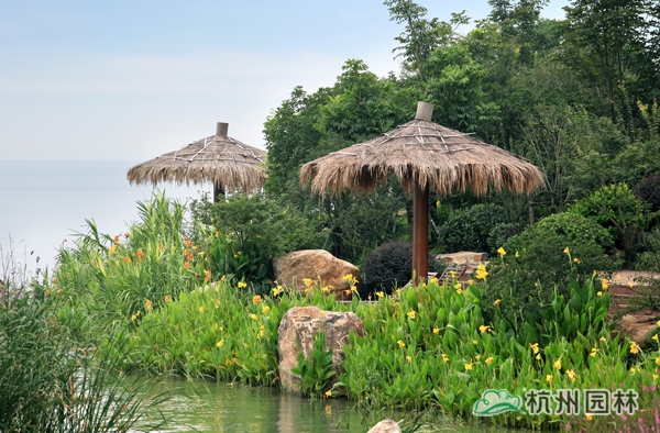 电竞比赛押注app