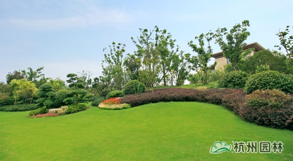 电竞比赛押注app