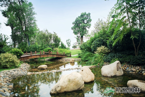 电竞比赛押注app