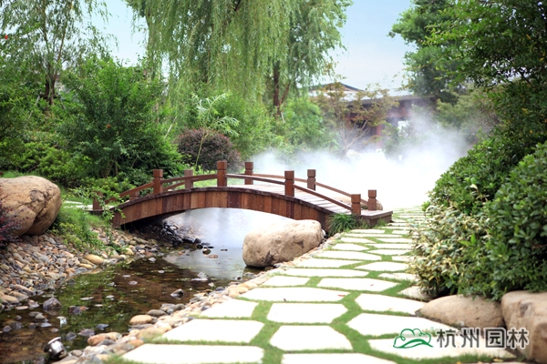 电竞比赛押注app