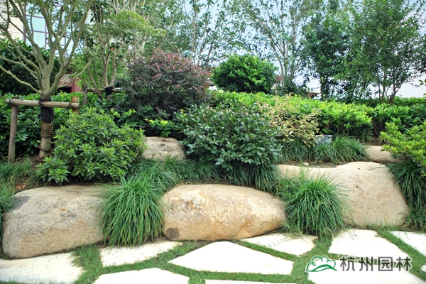 电竞比赛押注app