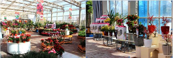 电竞比赛押注app