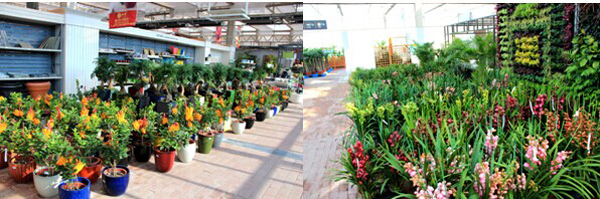 电竞比赛押注app