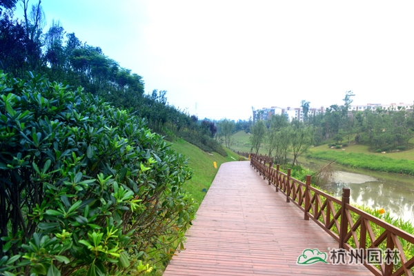 电竞比赛押注app