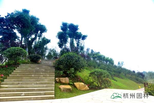 电竞比赛押注app