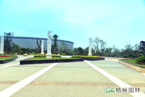 电竞比赛押注app