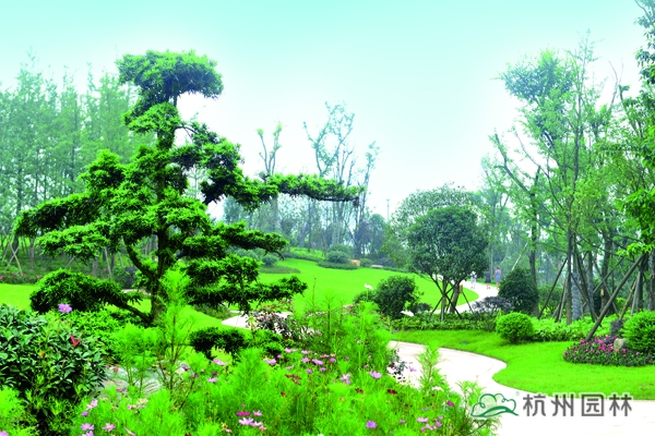 电竞比赛押注app