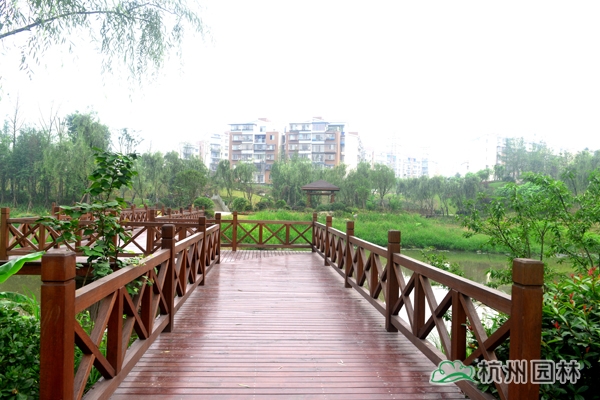 电竞比赛押注app