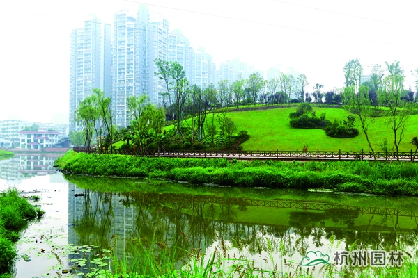 电竞比赛押注app