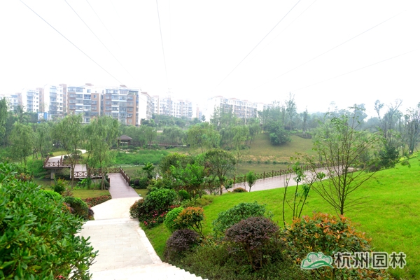 电竞比赛押注app