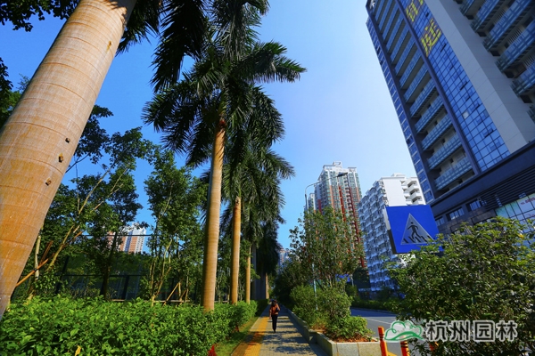 电竞比赛押注app