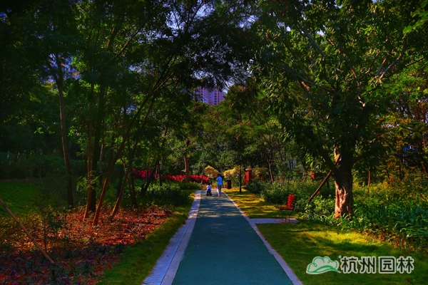 电竞比赛押注app