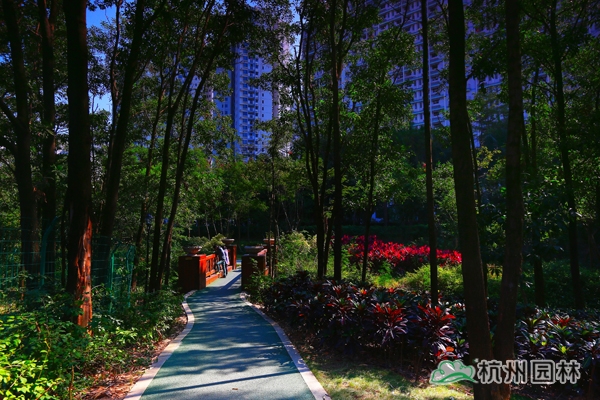 电竞比赛押注app