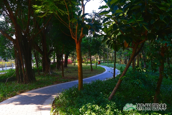 电竞比赛押注app