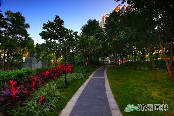 电竞比赛押注app