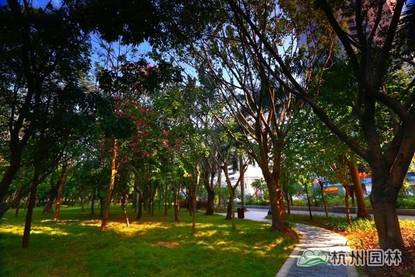 电竞比赛押注app