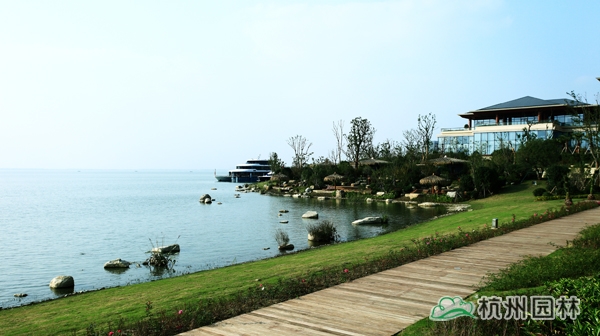 电竞比赛押注app