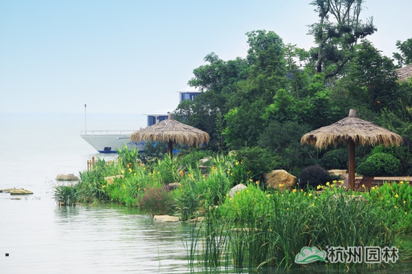 电竞比赛押注app