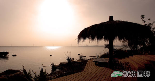 电竞比赛押注app