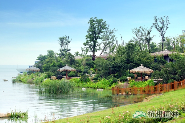 电竞比赛押注app