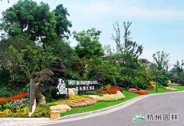 电竞比赛押注app