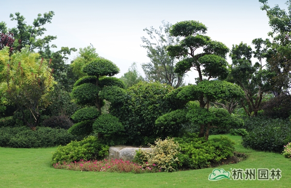 电竞比赛押注app