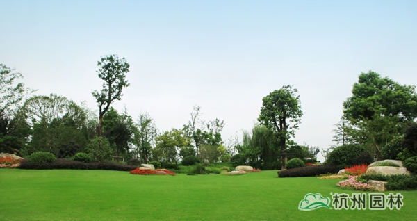 电竞比赛押注app