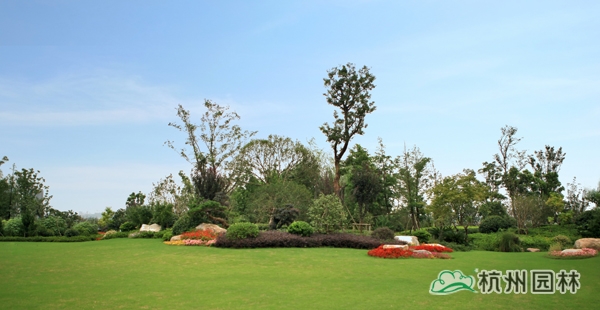 电竞比赛押注app