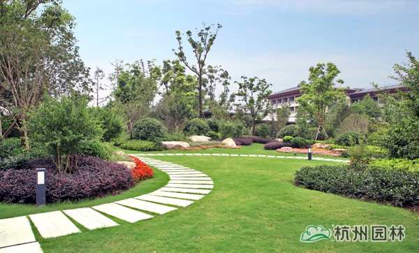 电竞比赛押注app