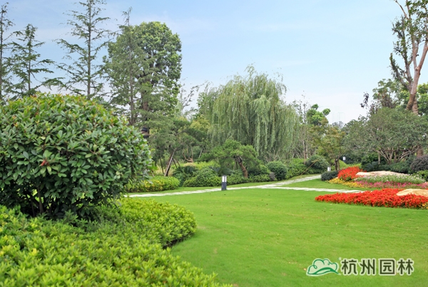 电竞比赛押注app