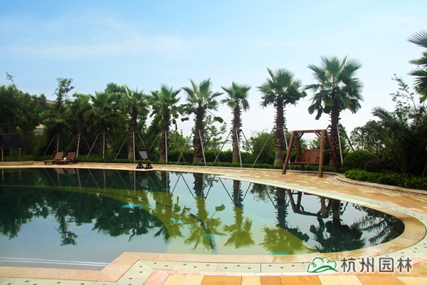 电竞比赛押注app