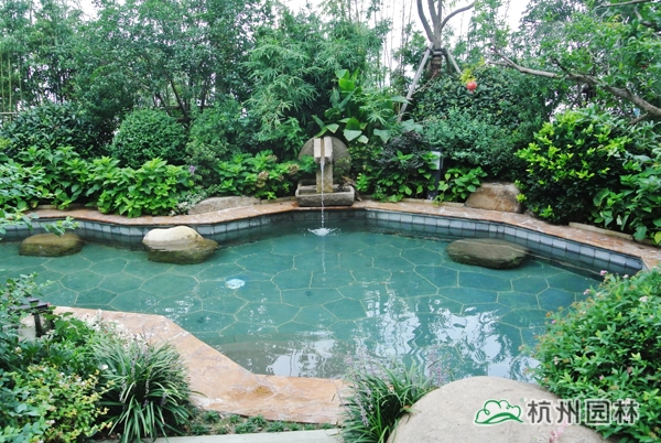 电竞比赛押注app