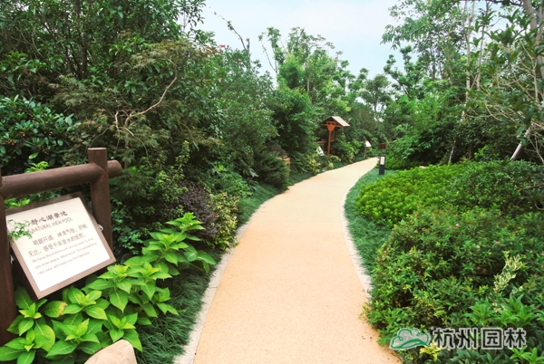 电竞比赛押注app